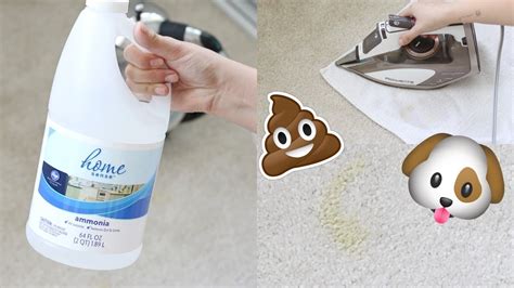 Say goodbye to stubborn grease stains with Blue Magic carpet cleaner